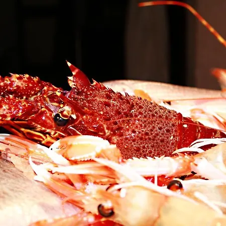 Il Ceppo Hotel Agropoli